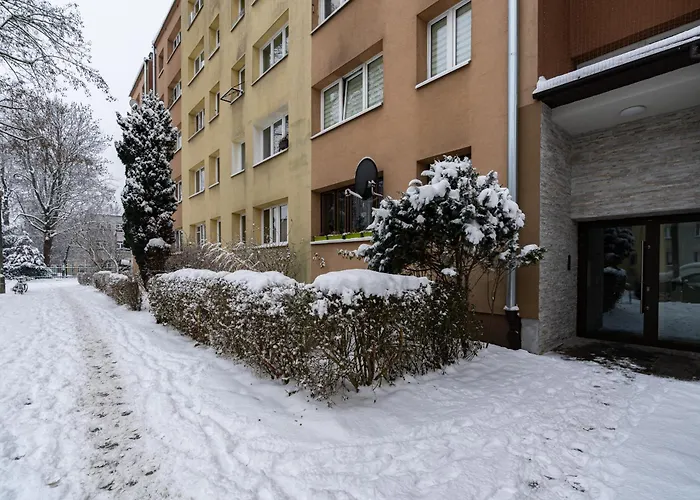 Jaremy Standard By Bookinghost